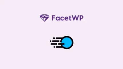 FacetWP