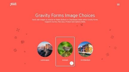 Gravity Forms Image Choices Latest