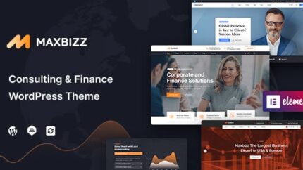 Maxbizz Consulting And Financial Theme
