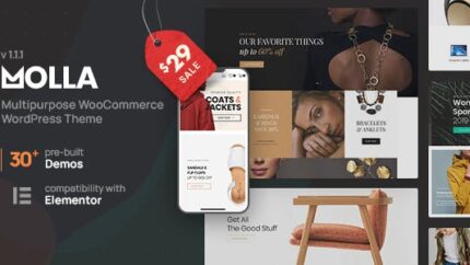 Molla MultiPurpose WooCommerce Theme