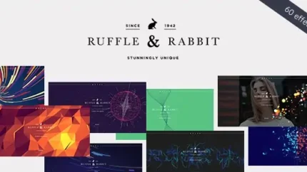 Rabbit Exclusive Coming Soon Theme Latest