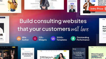 Rise - Business & Consulting WordPress Theme Latest