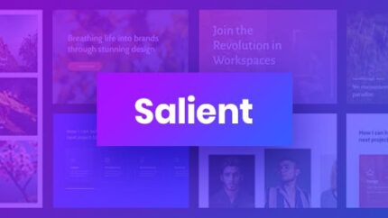 Salient WordPress Theme