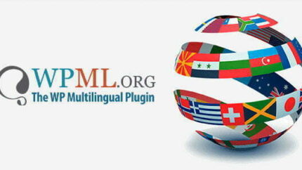 WPML Ninja Forms Multilingual Addon Latest