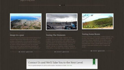 WooThemes Buro Premium Theme Latest