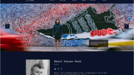 Steven Mosk – Modern artist personal portfolio WordPress Theme Latest