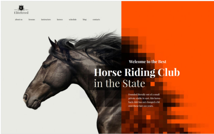 httpsmlhsgghkhncm.i.optimole.comw700h439qmautofbesthttpsgplsoftware.comwp-contentuploads202009Elite-Breed-Equestrian-Horse-Riding-Club-WordPress-Theme-700x439-1.png Elite Breed – Equestrian & Horse Riding Club WordPress Theme  Latest