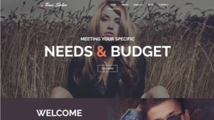 Tomi Solas WordPress Theme Latest